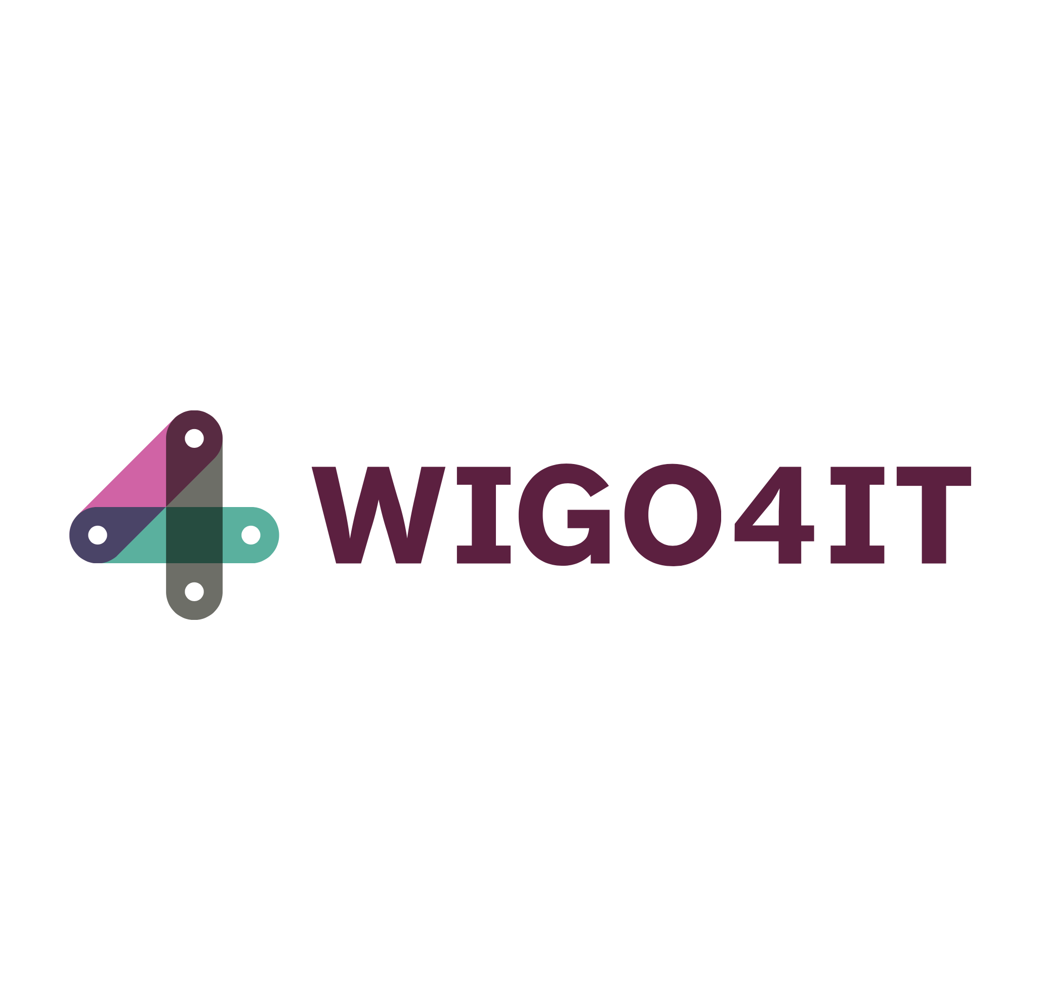Program Director - WiGo4IT